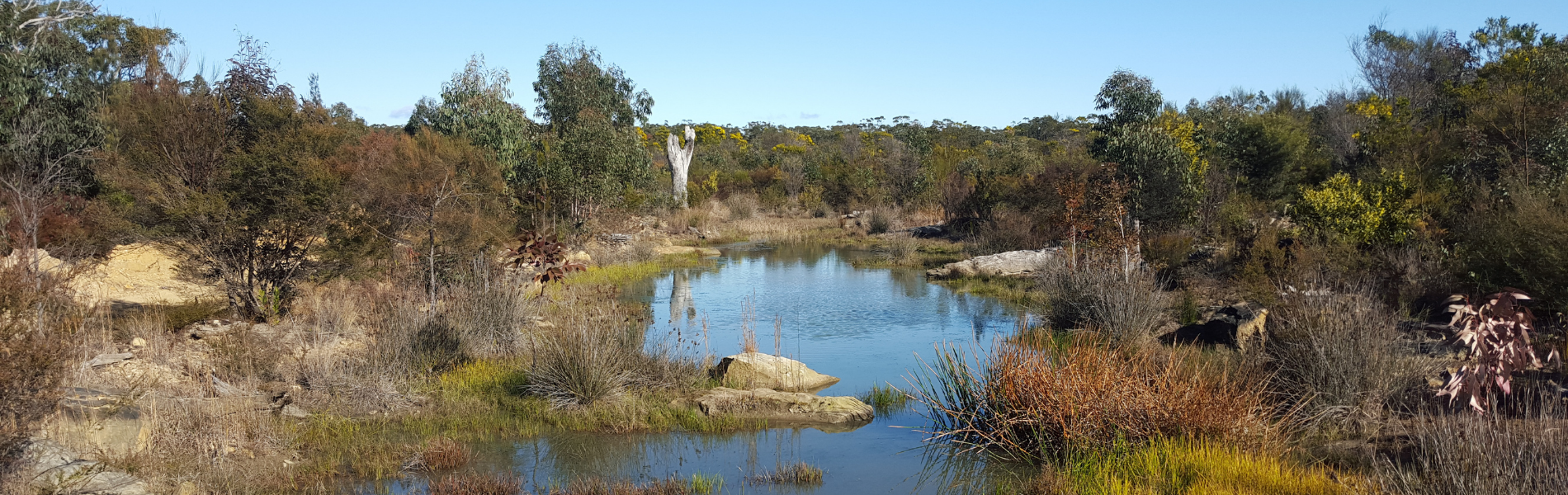 Upper Hunter Water Information Resources