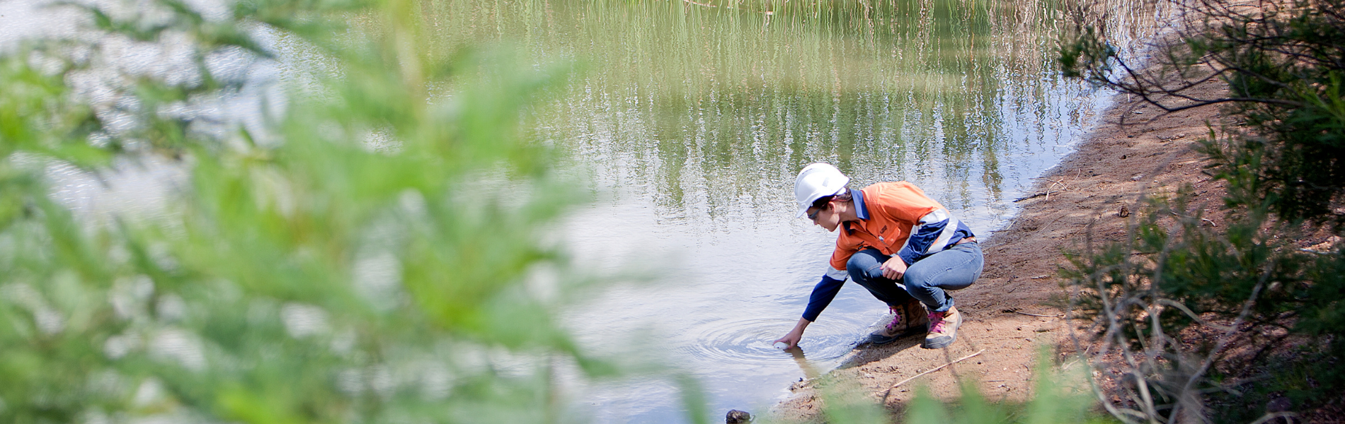 Salinity Trading Scheme improving water quality in the Hunter